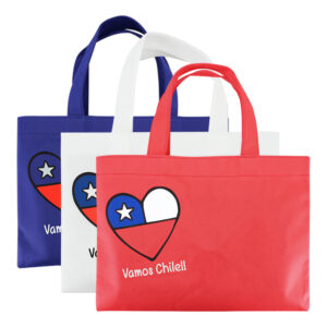 Bolsa TNT Vamos Chile - E32